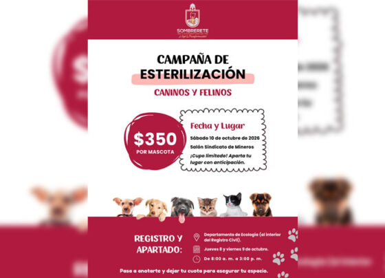 Ramiro Hinojoza impulsa campaña de esterilización canina y felina a bajo costo en Sombrerete