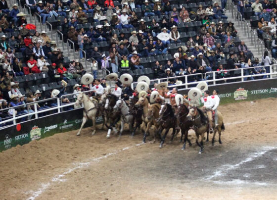 Arena Potosí recibe este lunes nuevas jornadas del Campeonato Nacional Charro