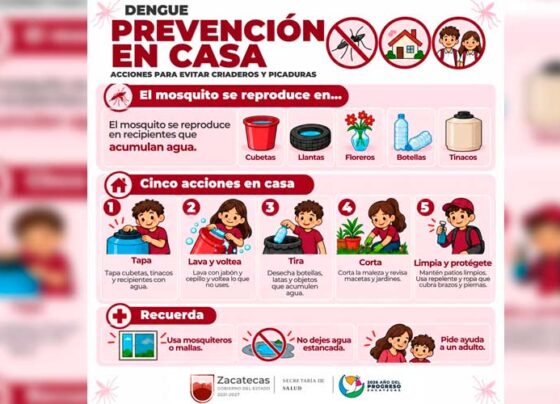 Ante la persistencia de lluvias, SSZ emite recomendaciones para prevenir el dengue
