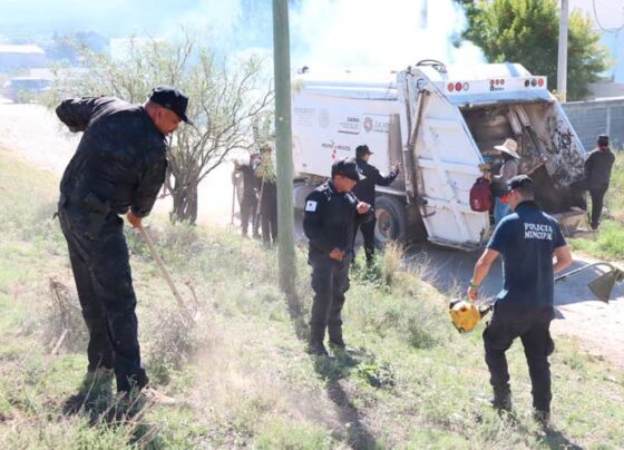 Despejan de malesa la salida a Cedros para garantizar tránsitos seguros en Mazapil