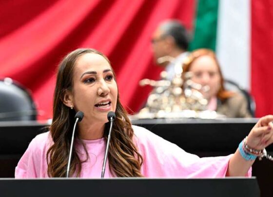 Exige Noemí Luna a estados enfrentar el reclutamiento criminal