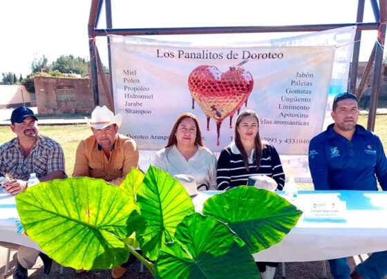 Impulsa gobierno de Sombrerete a emprendedores apícolas de Doroteo Arango