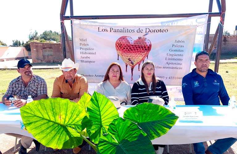 Impulsa gobierno de Sombrerete a emprendedores apícolas de Doroteo Arango