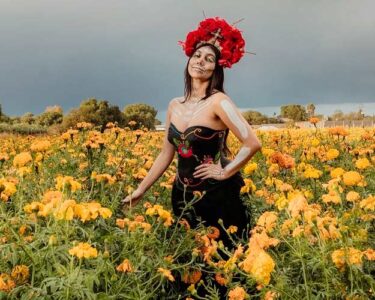 Impulsa Pepe Saldívar producción de flor de cempasúchil en comunidades de Guadalupe